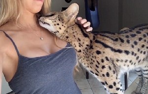 Poes zegt mamma